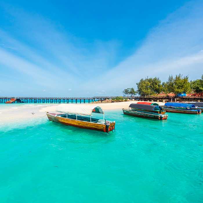Zanzibar All-Inclusive Escape: 7 Nights + Complimentary Jozani Tour