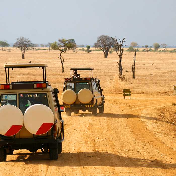 From Savannah to Sea:The Ultimate Tanzania Escape