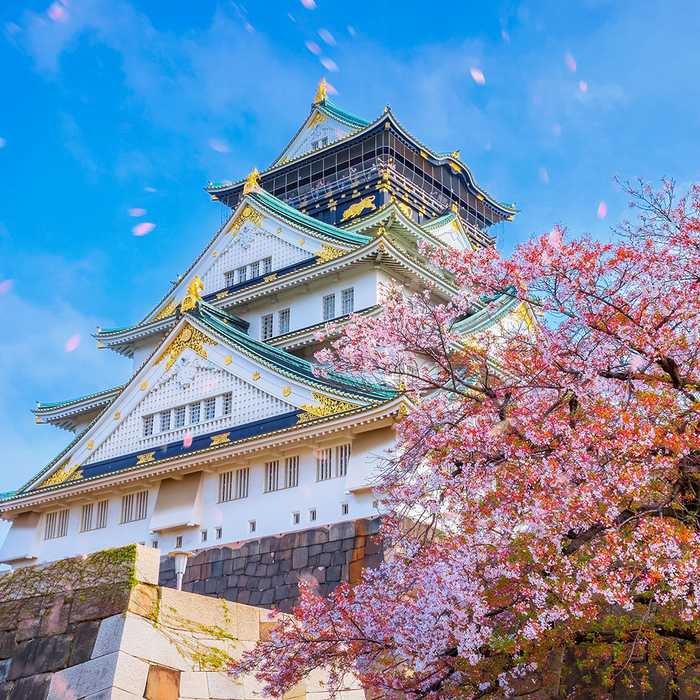 The best of Japan⛩️🏯