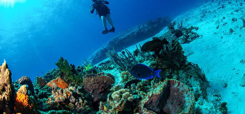 All-inclusive holidays to Cozumel with World Holiday Vibes - Good Vibes Only