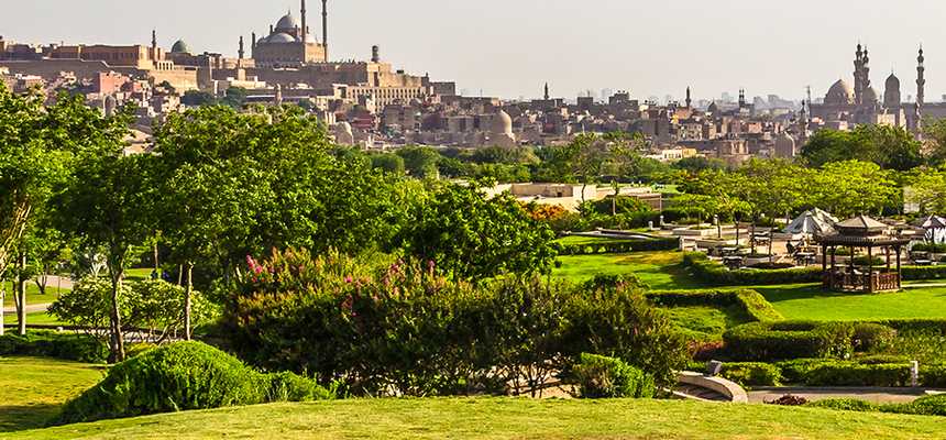 Nature & Safari in Cairo, Egypt - World Holiday Vibes, Good Vibes Only