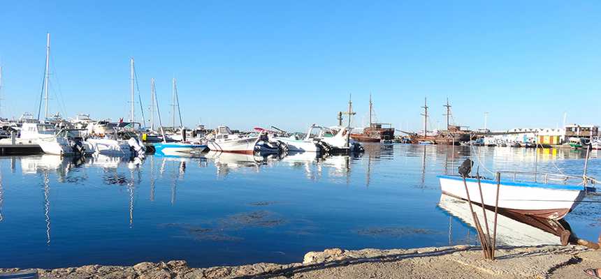 Nature & Safari in Djerba, Tunisia - Good Vibes Only