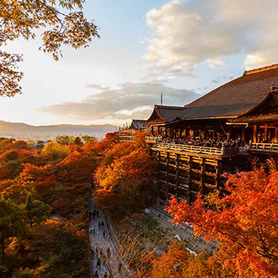 Kiyomizu Dera in Kyoto - World Holiday Vibes, Good Vibes Only