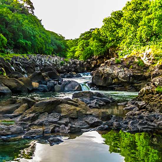 Black River Gorges National Park in Mauritius - World Holiday Vibes, Good Vibes Only