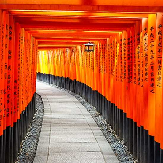 Fushimi Inari Shrine in Kyoto - World Holiday Vibes, Good Vibes Only