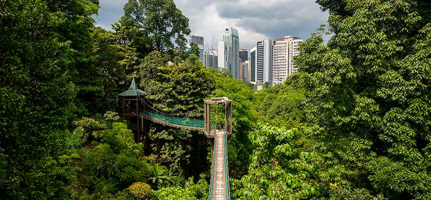 Kuala Lumpur's Nature & Safari - World Holiday Vibes