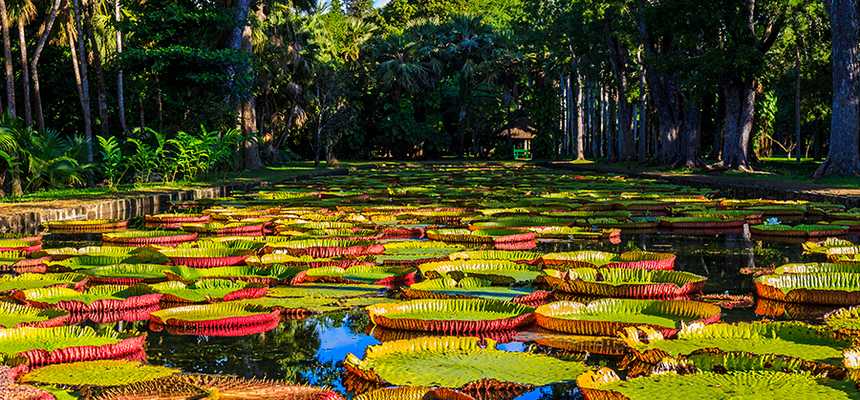 Highlights of Mauritius, top-rated tourist attractions & best things to do - World Holiday Vibes, Good Vibes Only