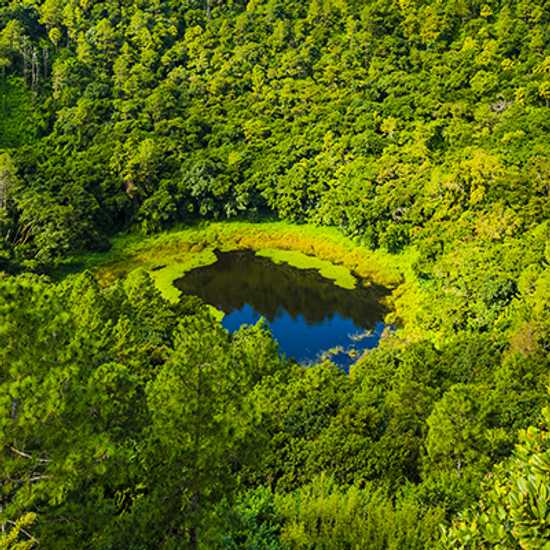 Trou des Cerfs in Mauritius - World Holiday Vibes, Good Vibes Only