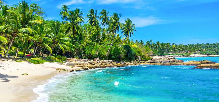 Best holidays to Goa with World Holiday Vibes - Good Vibes Only
