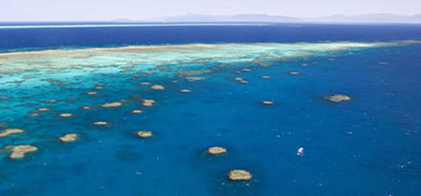 Vlasoff Cay in Cairns, Australia - Good Vibes Only