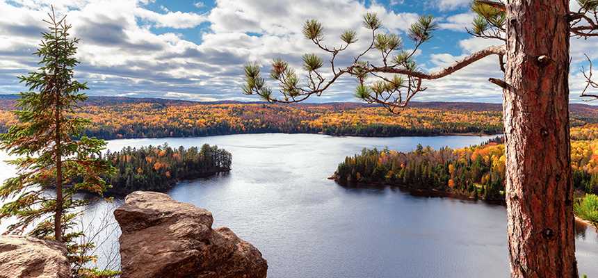 Nature & Safari in Ontario - Good Vibes Only