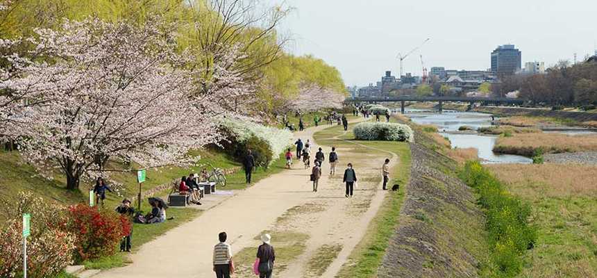 Kyoto Nature & Safari - World Holiday Vibes, Good Vibes Only