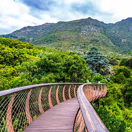 Get lost in Kirstenbosch Botanical Gardens - Best things to do in Cape Town - Good Vibes Only