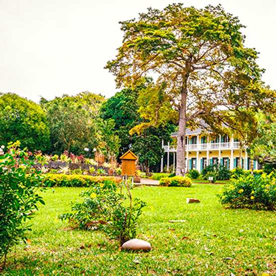 Mauritius Botanical Garden - World Holiday Vibes, Good Vibes Only