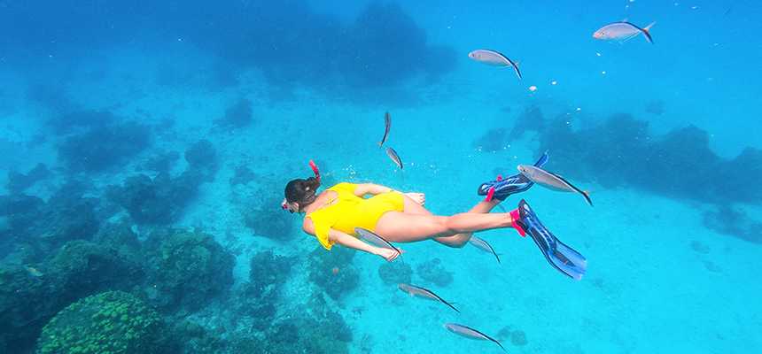 Highlights of Cozumel - Top-rated tourist attractions & best things to do - Good Vibes Only