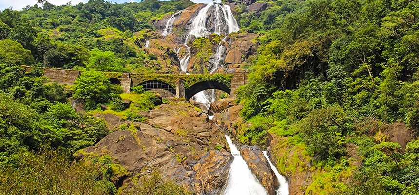 Goa Nature & Safari - World Holiday Vibes, Good Vibes Only