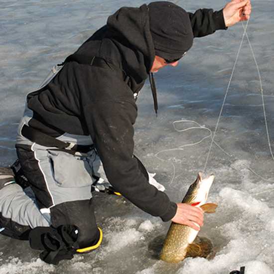 Fishing in Northern Ontario - Top fun things to do in Ontario - Good Vibes Only