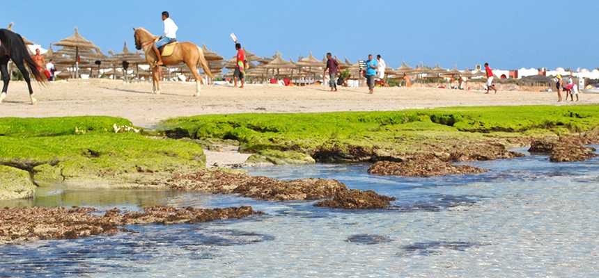 Highlights of Djerba - Top-rated tourist attractions & best things to do - Good Vibes Only