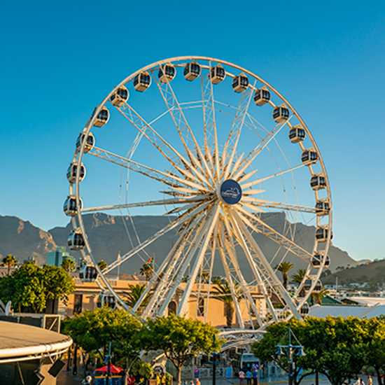 Traversing the Victoria & Alfred Waterfront - Best things to do in Cape Town - Good Vibes Only