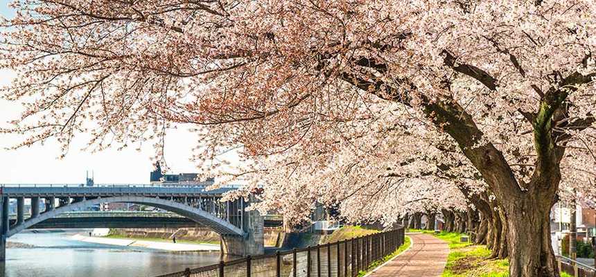 Best holidays to Kyoto with World Holiday Vibes - Good Vibes Only