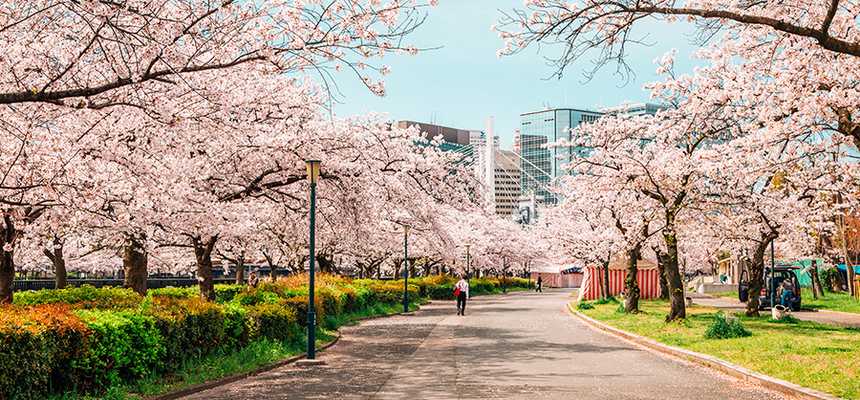 Best time to visit Osaka - World Holiday Vibes, Good Vibes Only