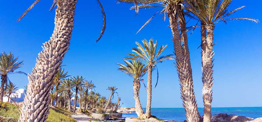 Best time to visit Djerba, Tunisia - Good Vibes Only