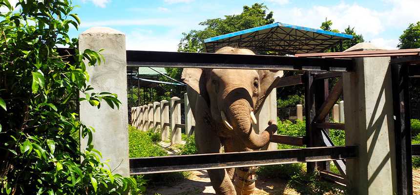 Siem Reap Nature & Safari - World Holiday Vibes, Good Vibes Only