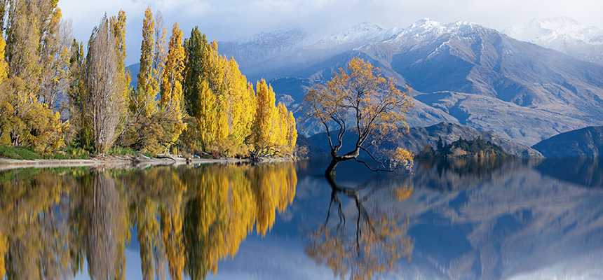 Nature & Safari in Queenstown, New Zealand - Good Vibes Only