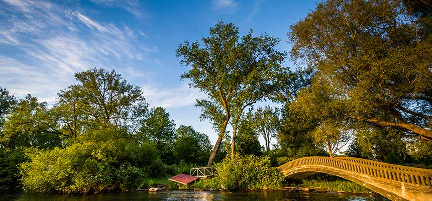 Nature & Safari in Toronto, Canada - Good Vibes Only