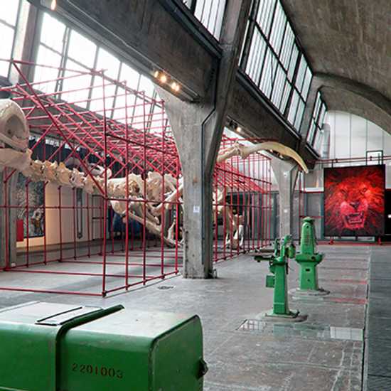 798 Art Zone in Beijing - World Holiday Vibes, Good Vibes Only