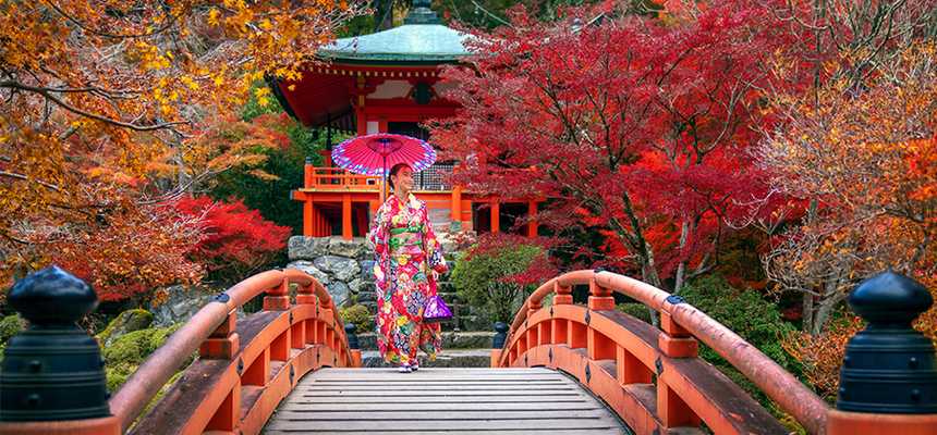Osaka Culture & Traditions - World Holiday Vibes, Good Vibes Only