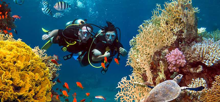 Male Nature & Safari - World Holiday Vibes