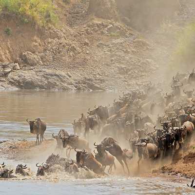 3 Days Safari Escape: Discover Amboseli hero image