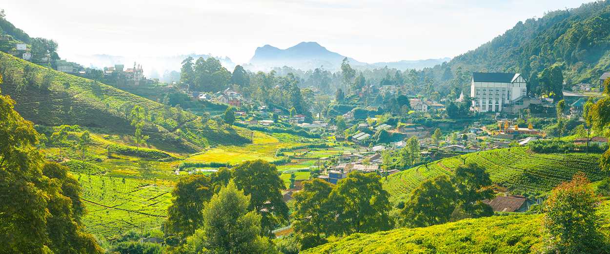 Nuwara Eliya destination