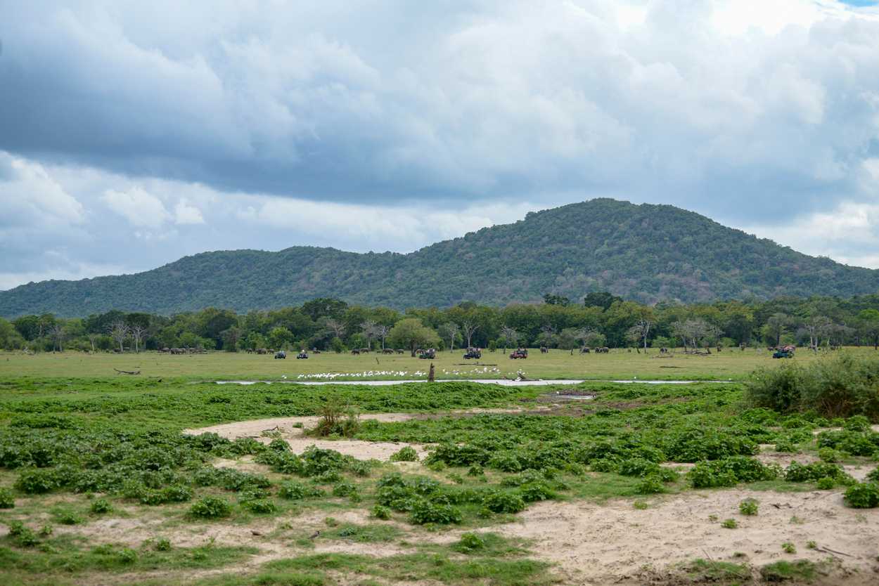 Habarana destination