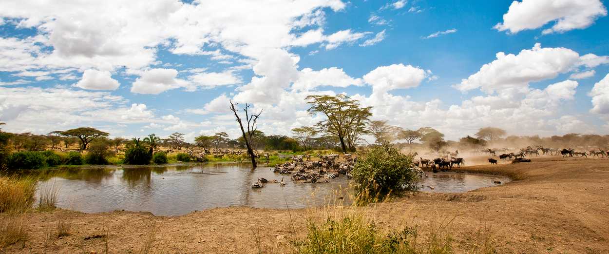 Central Serengeti destination
