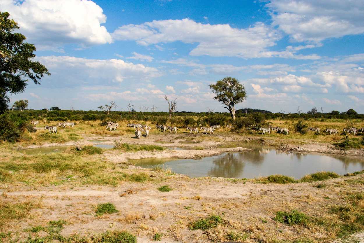 Chobe National Park destination