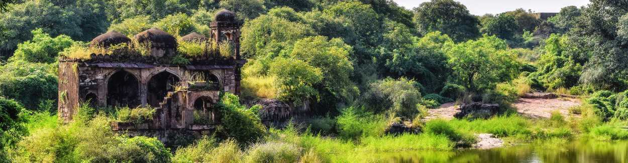 Ranthambore National Park destination