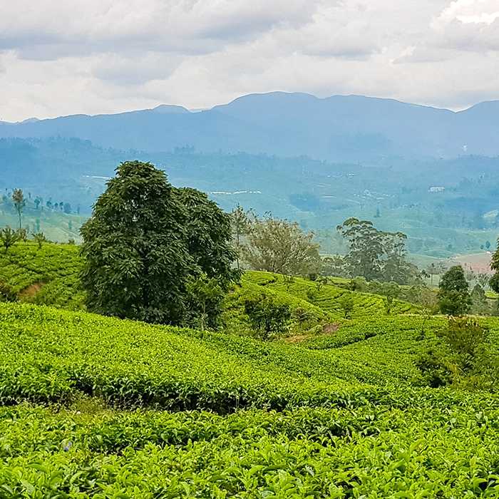 Badulla