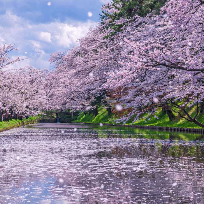 Aomori
