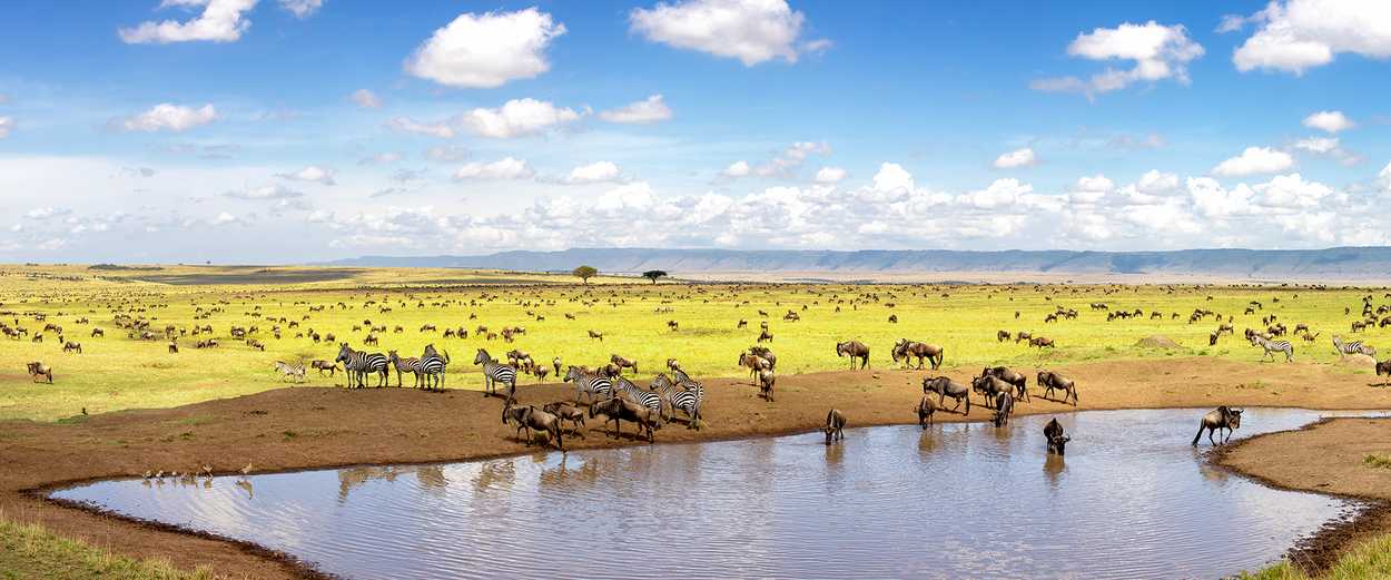 Masai mara destination
