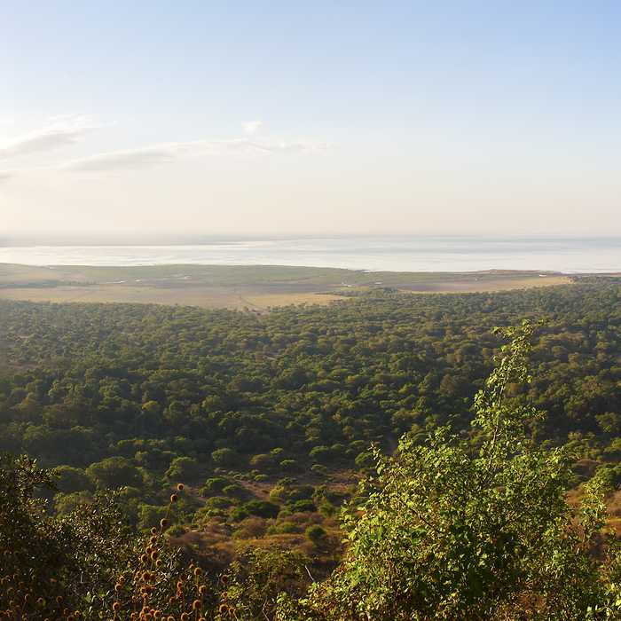 Lake Manyara National Park
