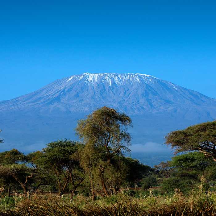 Amboseli National Park