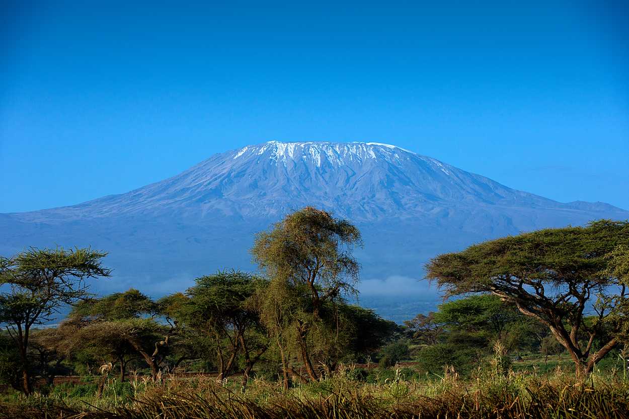 Amboseli National Park destination